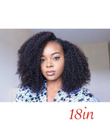 Afro Kinky Curly Wig - Nkeoma